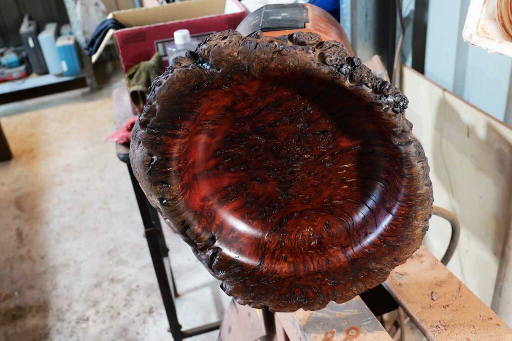 Jarrah Burl